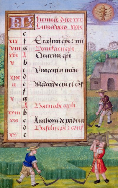 Ms 1058-1975 f6r Mowing Grass, upplyst kalendersida för juni, från a Book of Hours, c.1500 (vellum) av Flemish School