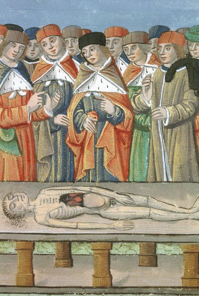 Ms Hunter 9 f.36r Dissection, från De Medina Fen I. II, av Avicenna (980-1037) av Flemish School