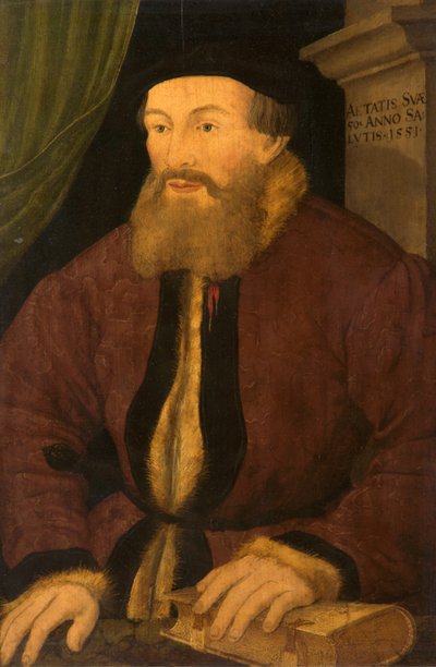 Porträtt av en man, 1551 av Flemish School