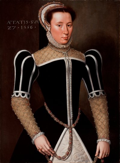 Portrait of a Woman, 1556  av Flemish School