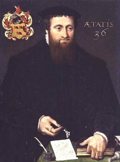 Porträtt av en forskare, möjligen en matematiker, 36 år (panel) av Flemish School