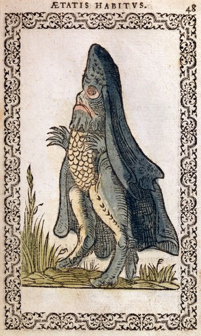 Sjöbiskopen eller sjömonstret, illustration från The Habits and Portraits of Almost All Nations and Contemporary Nations av Jean Sluperji, Antwerpen, 1572 (träsnitt i färg) av Flemish School