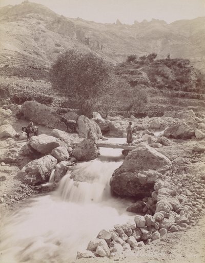 Cours du Kadisha, Monte Lissabon, 1860-80-talet, tryckt ca. 1870. av Félix Bonfils