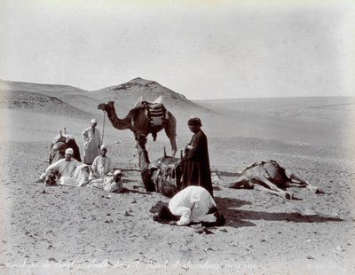 Egyptiska kamelerar under en paus i öknen. I förgrunden verkar två medlemmar i den lilla gruppen be av Félix Bonfils