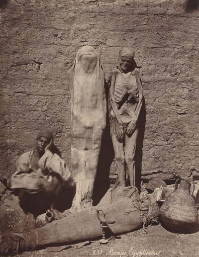 Momies Egyptiennes egyptiska mumier, ca. 1870. av Félix Bonfils
