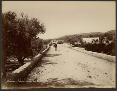 Palestina - Kolonick, Terebinth Valley av Félix Bonfils