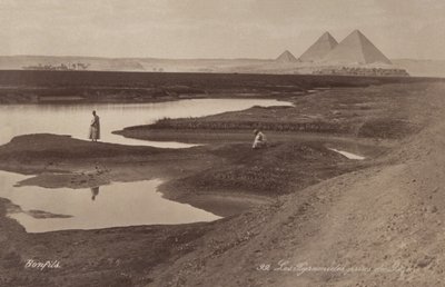 Pyramiderna i Giza, ca 1900 (foto) av Félix Bonfils