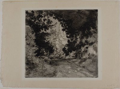 Chemin de Coutures, i Sèvres av Félix Henri Bracquemond