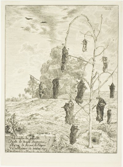 Mullvadar av Félix Henri Bracquemond