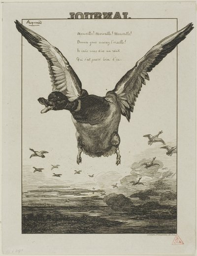 Ankan av Félix Henri Bracquemond