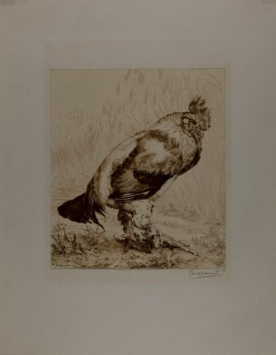 Den gamla kuken av Félix Henri Bracquemond