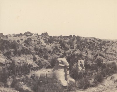 Karnak Thebe, sfinx med människohuvud och ramshuvud, i Y, 1851-52, tryckt 1853-54. av Félix Teynard
