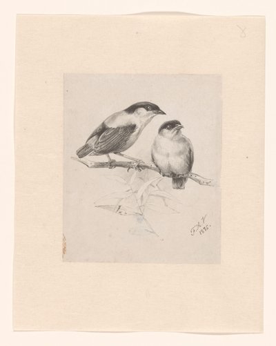 swedish av Floris Verster