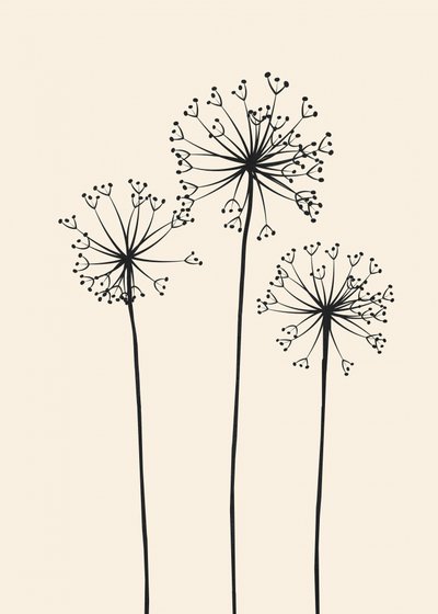 Minimalistiska maskrosblommor av Flow Line