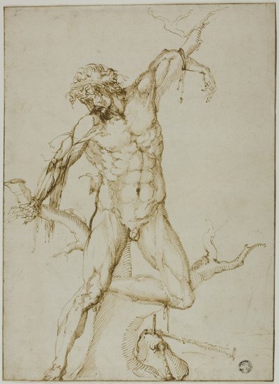 Marsyas bunden till ett träd av Follower of Baccio Bandinelli