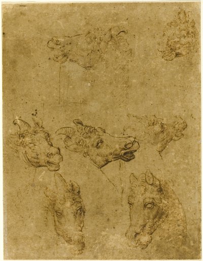 Huvuden av hästar och enhörningar av Follower of Leonardo da Vinci
