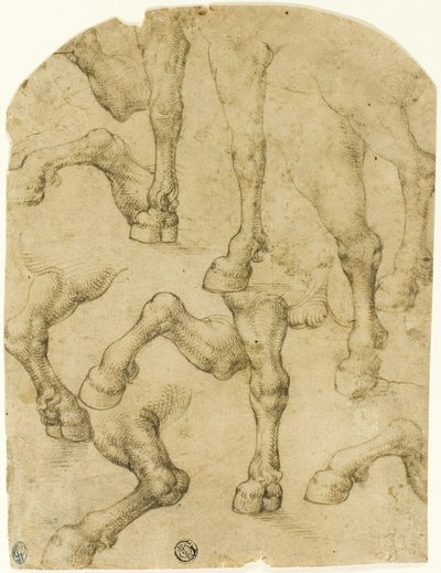 Skisser av hästars (eller dromedarers) ben (recto); pelare (verso) av Follower of Leonardo da Vinci