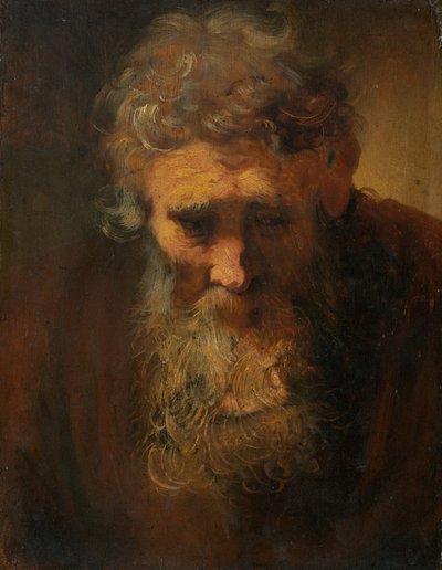 Studie av en gammal man av Follower of Rembrandt van Rijn