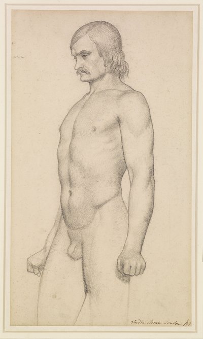 Manlig nakenbild - Akademisk studie, nakenbild i trekvartslängd, med mustasch och knutna nävar av Ford Madox Brown