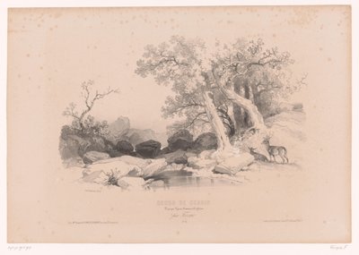 Stenigt landskap med vatten och två rådjur Ritkurs med studier av landskap, djur och detaljer (serietitel) Kurs designen. Paysages, figurer, animaux, tillbehör, av Férogio (serietitel på objekt) av Fortuné Ferogio