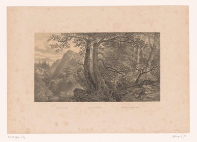Två jägare i en skog i Pyrenéerna Jakt i Pyrenéerna / Jagdparthie in den Pyrenaën / Cazadores de los Pirinéos (España) (titel på objektet) Figurer i ett landskap (serietitel) av Fortuné Ferogio