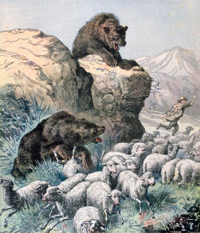 Bears of the Cagyre, 1891. av Fortuné Méaulle