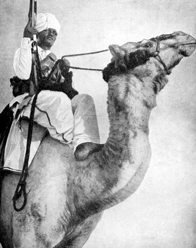 Afrikas ökenkrigare, 1936. av Fox Photos