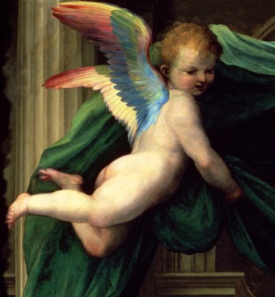 St. Katarina av Sienas mystiska äktenskap med heliga, detalj av en ängel, 1511 olja på paneldetalj av 93870 av Fra Bartolommeo