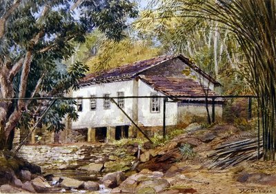 Brittiska Västindien (akvarell på papper) av Frances C. Fairman