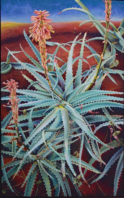 Aloe av Frances Ferdinands