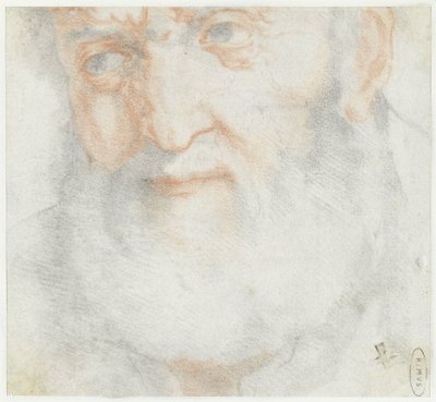 Huvudet på en gammal skäggig man av Francesco Furini (attributed to)