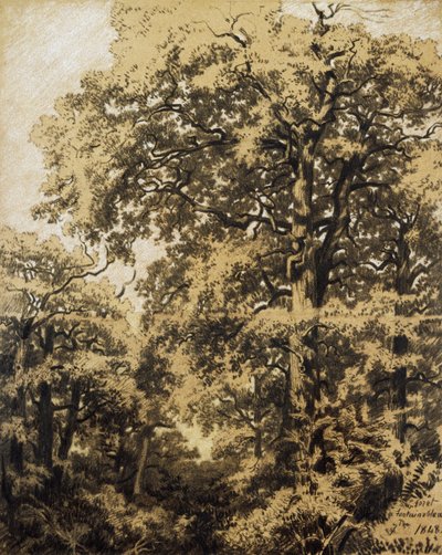 Forest of Fontainebleau av Francesco Gamba