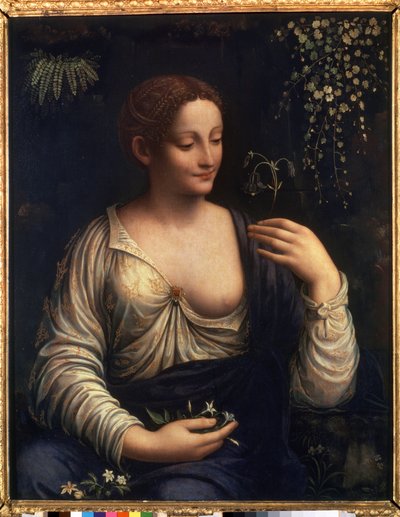 ""Flore"" (フローラ) フランチェスコ・メルツィ (1493-1570 年頃) による絵画 1510-1515 Dim. 76x63 cm エルミタージュ美術館 サンクトペテルブルクスウェーデン語 av Francesco Melzi or Melzo