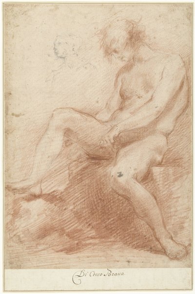 Studie av en manlig nakenmodell av Francesco Montelatici