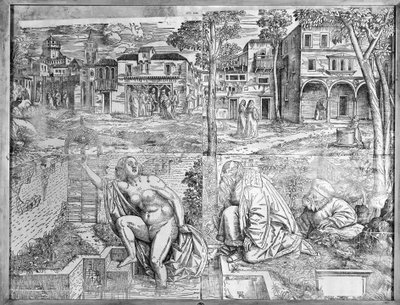 förvandlingar. av Francesco Pozzi