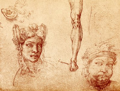 Huvud- och benstudier av Francesco Ubertini Bacchiacca