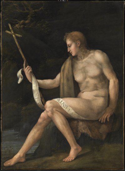 Johannes Döparen i vildmarken av Francesco Ubertini Bacchiacca