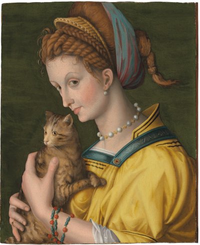 Porträtt av en ung dam som håller en katt av Francesco Ubertini Verdi Bachiacca