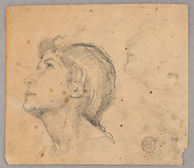 Skiss av en kvinnas huvud av Francis Augustus Lathrop
