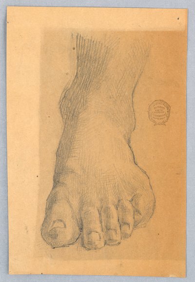 Studie av vänster fot av Francis Augustus Lathrop