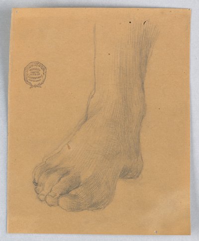 Studie av höger fot av Francis Augustus Lathrop