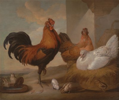 Tuppar, hönor och kycklingar av Francis Barlow