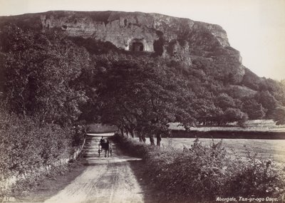 Abergele, Tan-yr-ogo-grottan, 1870-talet. av Francis Bedford