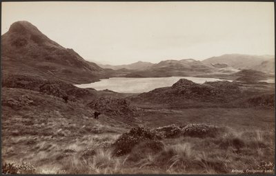 Arthog, Creigene Lake av Francis Bedford