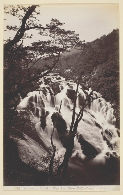 Bettw-s-y Coed, Svalan faller från ovan av Francis Bedford