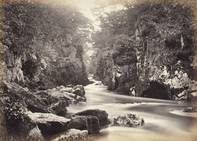 Bettws-y-Coed, den vackra dalen (698) av Francis Bedford