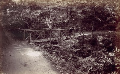 Colwyn Bay. Rustik bro i skogen, 1870-talet. av Francis Bedford