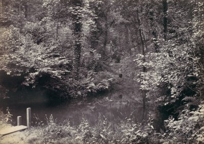 Colwyn Bay. Poolen i skogen, 1870-talet. av Francis Bedford