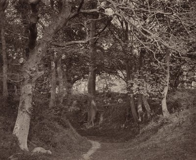 Glen Kenilworth,ca. 1868 (foto) av Francis Bedford