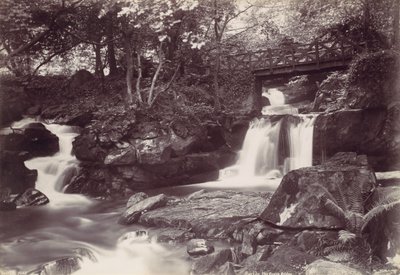 Glen Lun. Den rustika bron, 1870-talet. av Francis Bedford